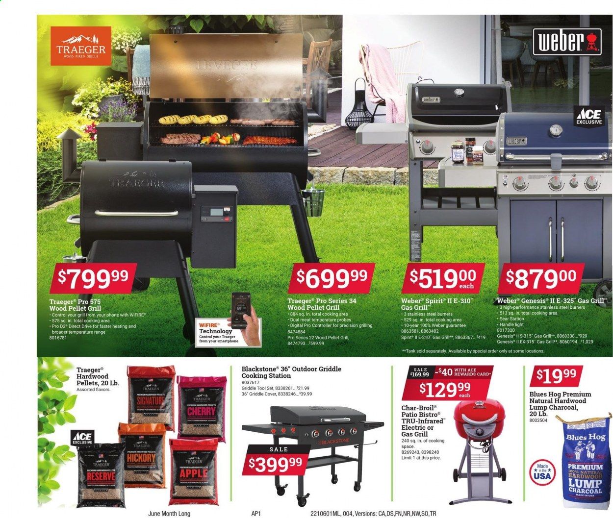 ACE Hardware Weekly Ad Flyer June 1 to June 29