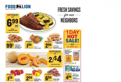 Food Lion (SC) Weekly Ad Flyer June 2 to June 8