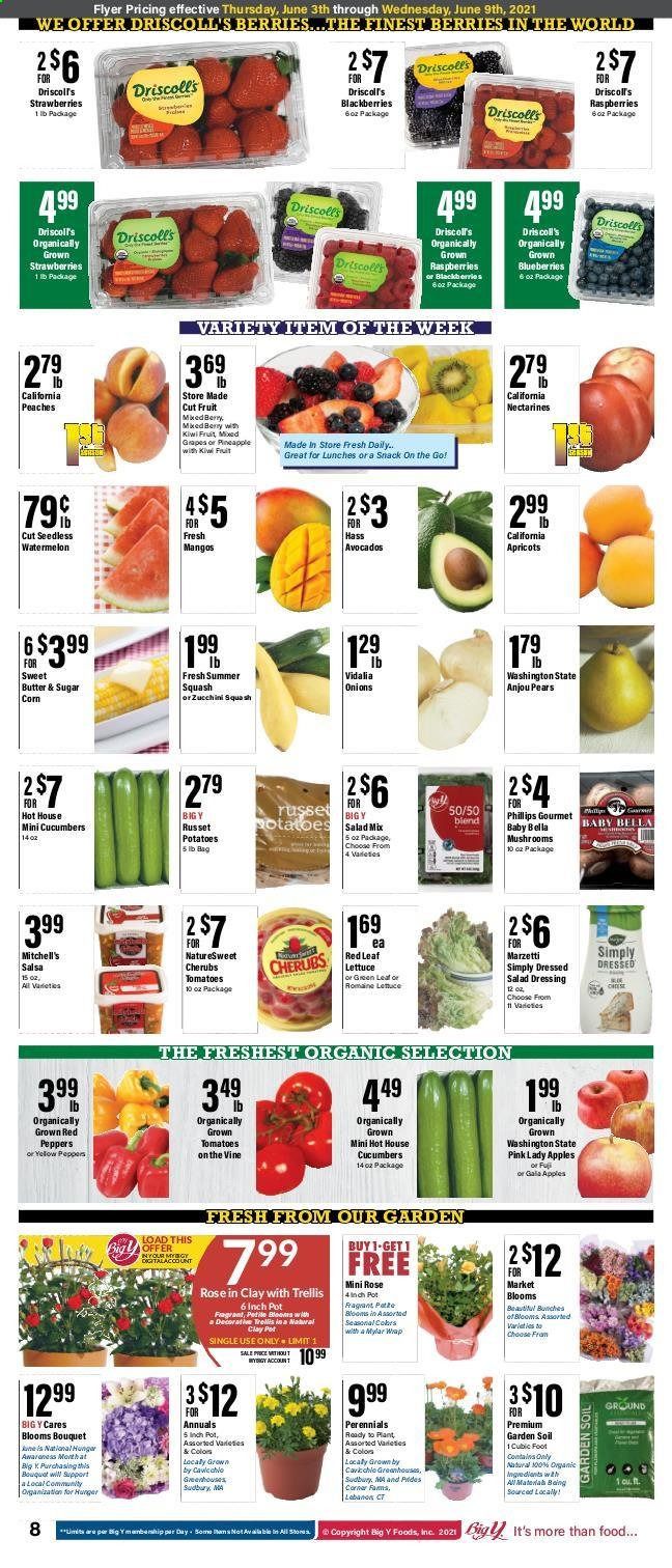Big Y (MA) Weekly Ad Flyer June 3 to June 9