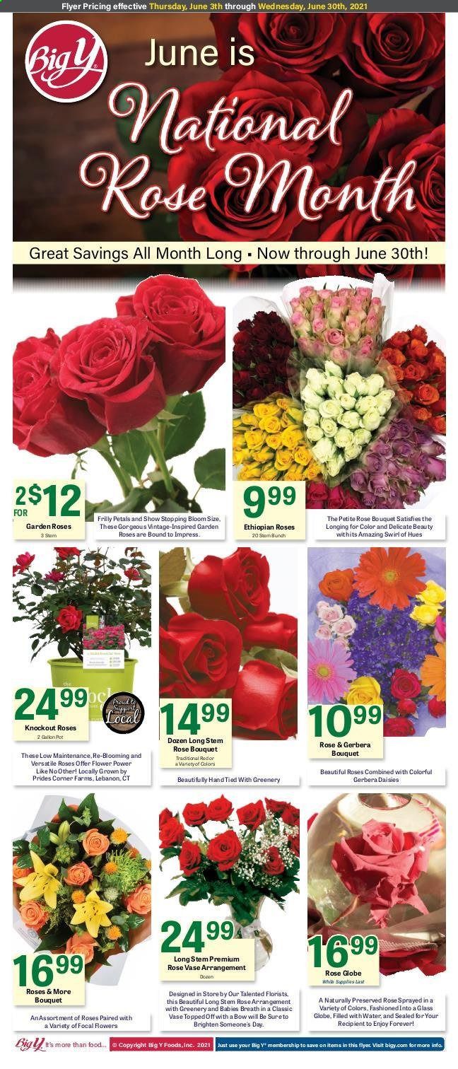 Big Y (MA) Weekly Ad Flyer June 3 to June 9