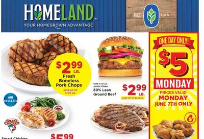 Homeland (OK, TX) Weekly Ad Flyer June 2 to June 8