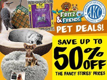 Ollie's Bargain Outlet Weekly Ad Flyer June 1 to June 30