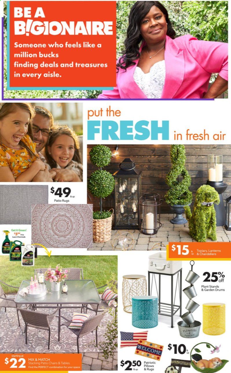 Big Lots Weekly Ad Flyer June 5 to June 12