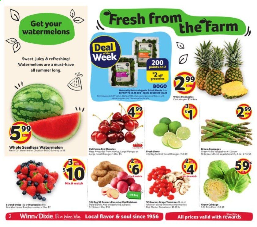 Winn Dixie (AL, FL, GA, LA) Weekly Ad Flyer June 9 to June 15