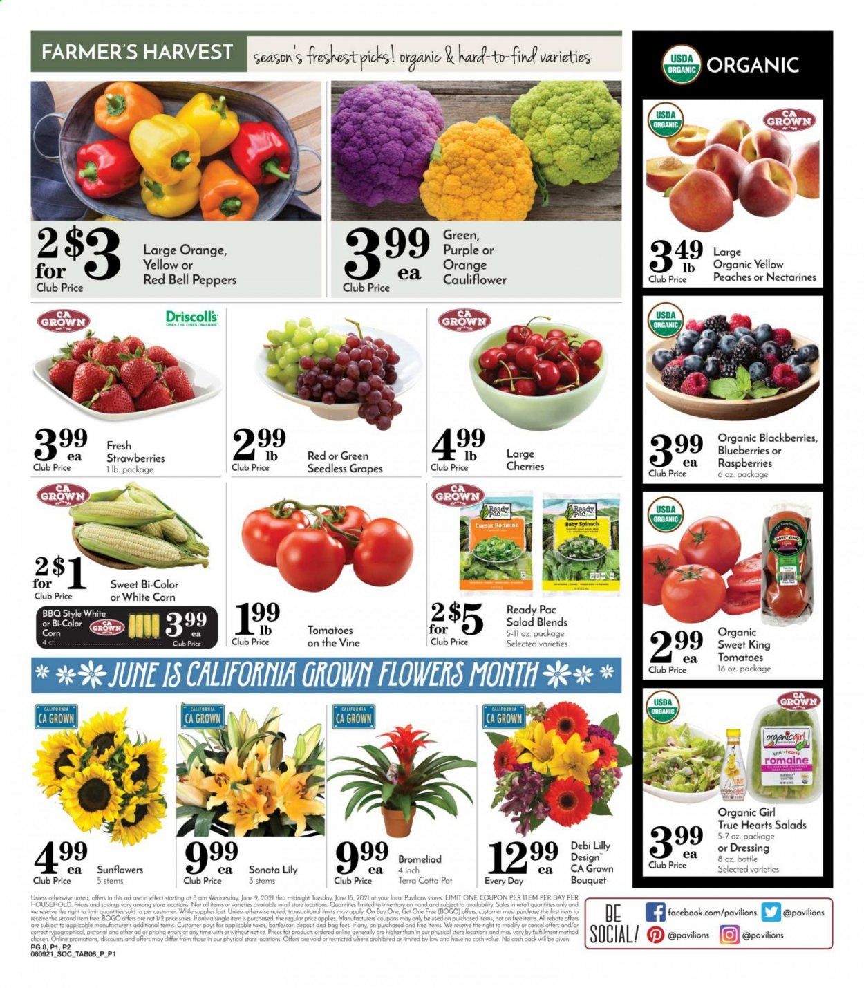 Pavilions (CA) Weekly Ad Flyer June 9 to June 15
