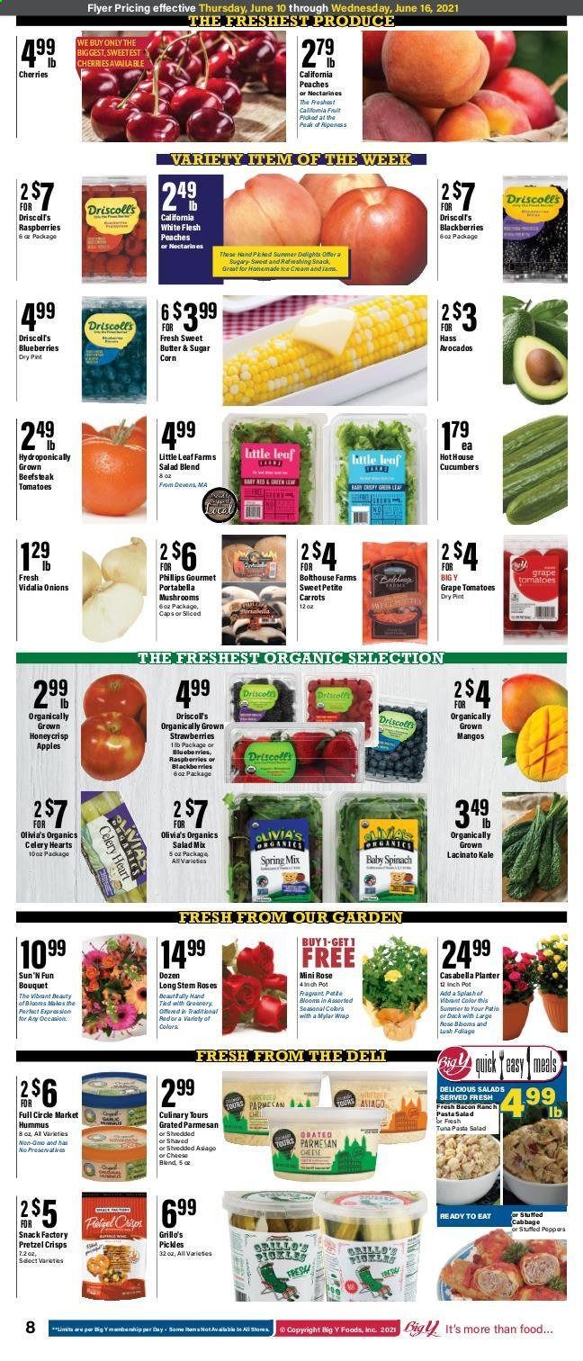 Big Y (CT) Weekly Ad Flyer June 10 to June 16