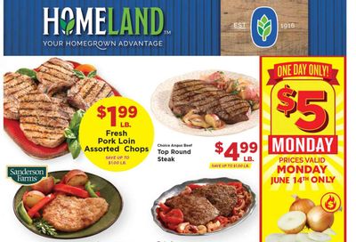 Homeland (OK, TX) Weekly Ad Flyer June 9 to June 15