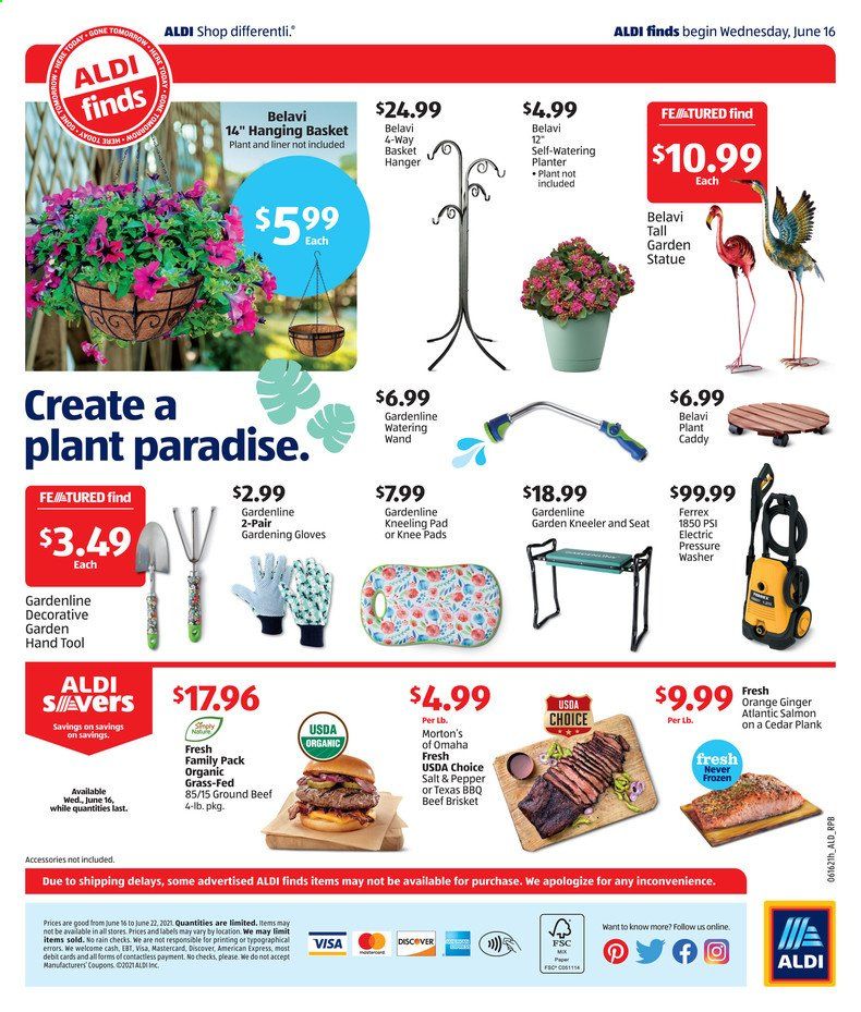 ALDI (FL) Weekly Ad Flyer June 16 to June 22