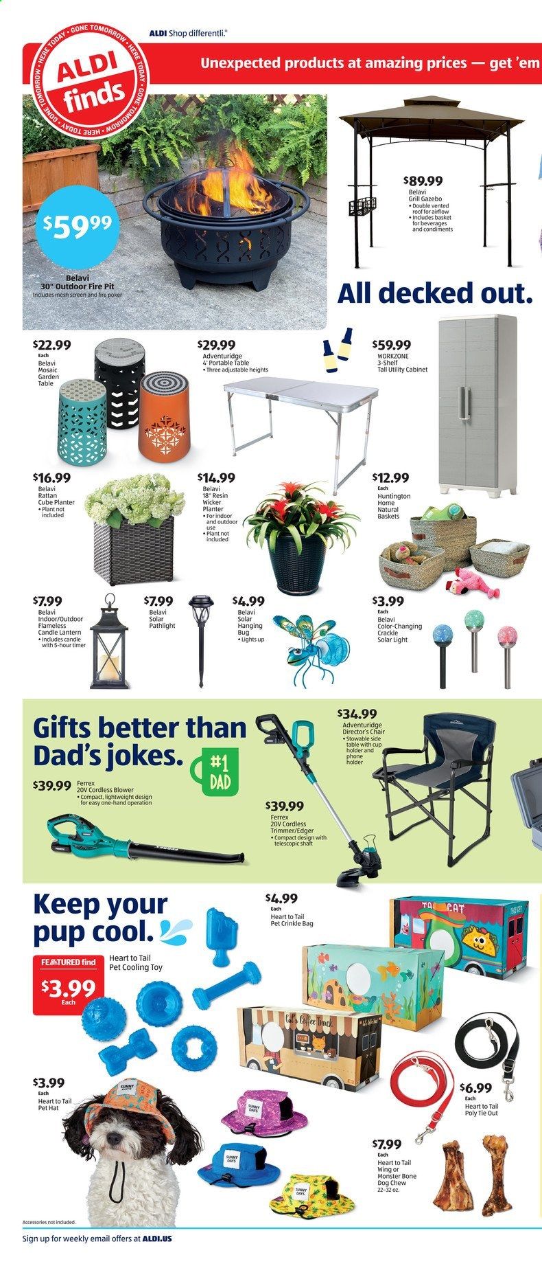 ALDI (TN) Weekly Ad Flyer June 9 to June 15