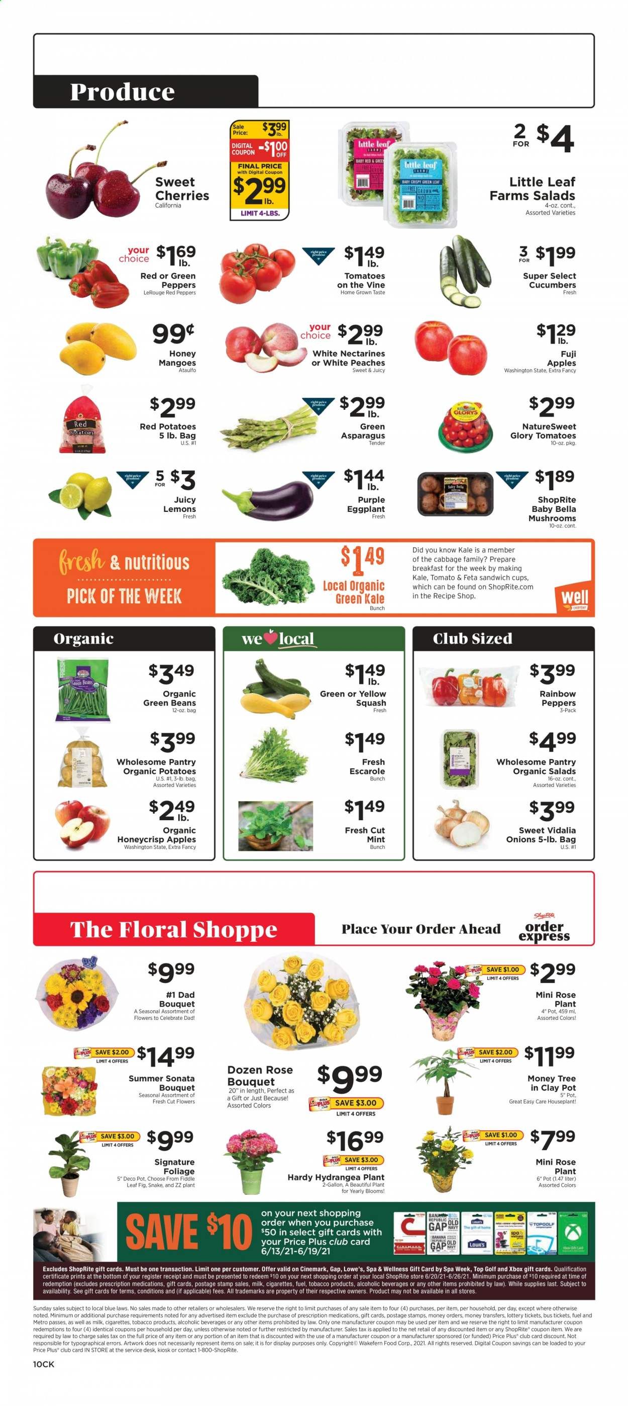 ShopRite (CT, DE, MD, NJ, NY, PA) Weekly Ad Flyer June 13 to June 19