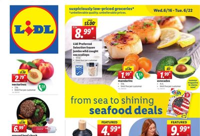 Lidl (GA, MD, NC, NJ, PA, SC, VA) Weekly Ad Flyer June 16 to June 22