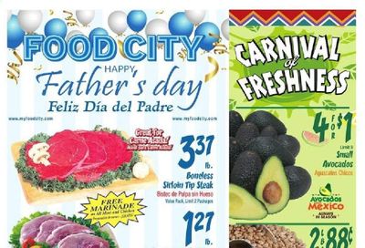 Food City (GA, TN, VA) Weekly Ad Flyer June 16 to June 22