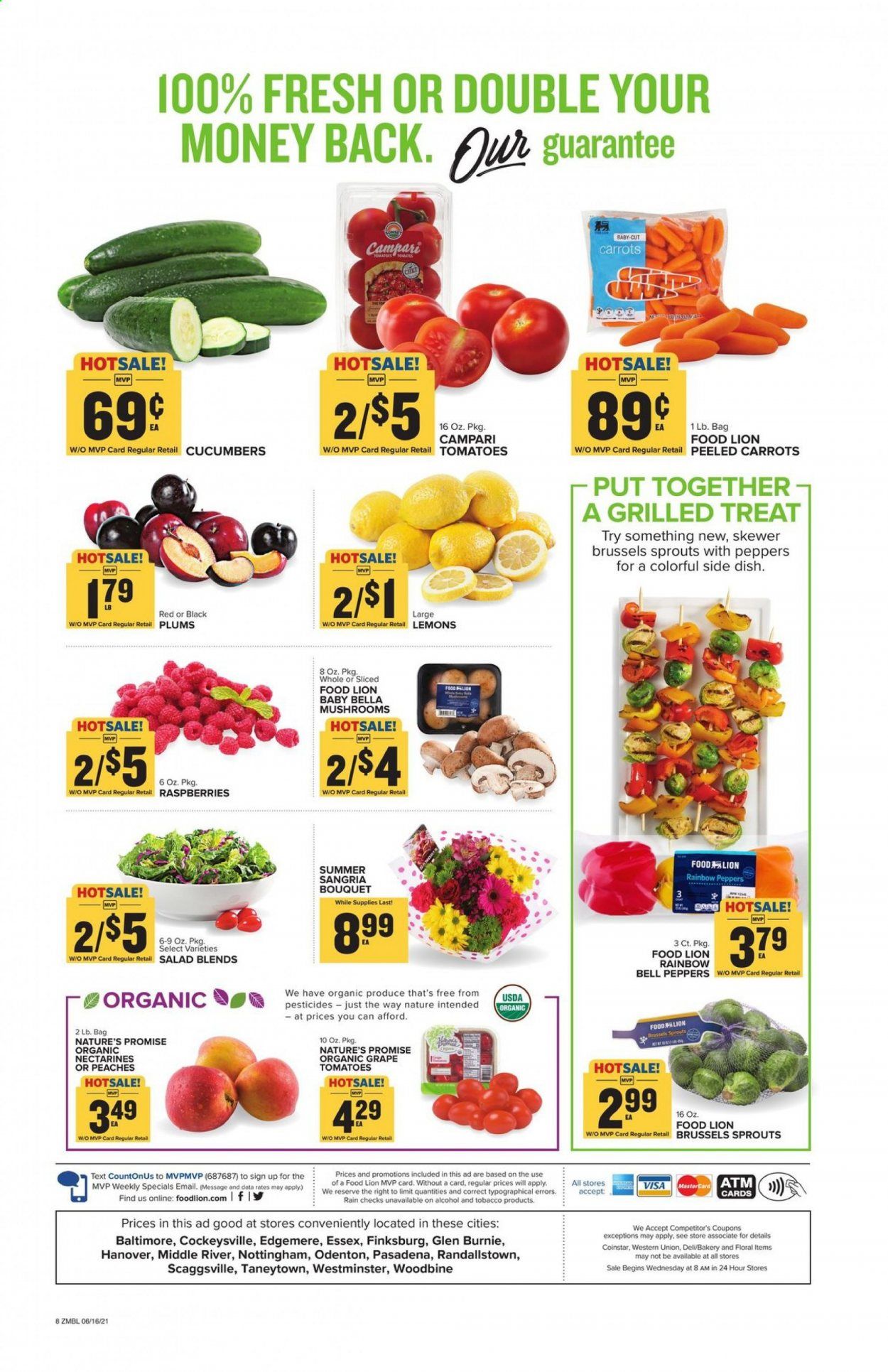 Food Lion (MD) Weekly Ad Flyer June 16 to June 22
