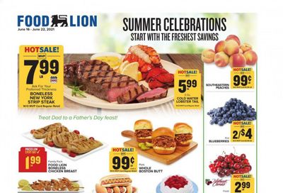 Food Lion (VA) Weekly Ad Flyer June 16 to June 22