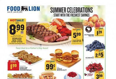 Food Lion (SC) Weekly Ad Flyer June 16 to June 22