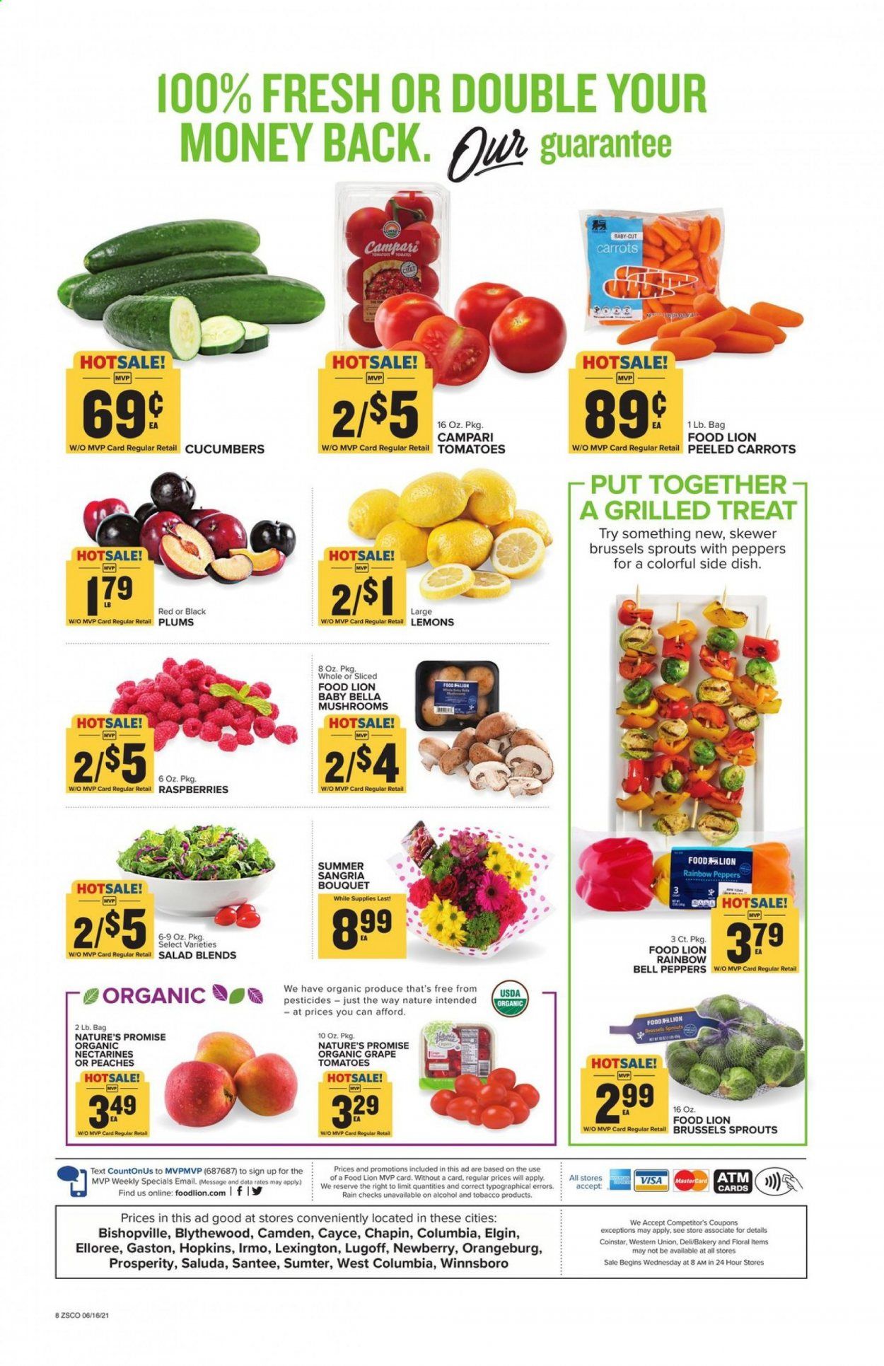 Food Lion (SC) Weekly Ad Flyer June 16 to June 22