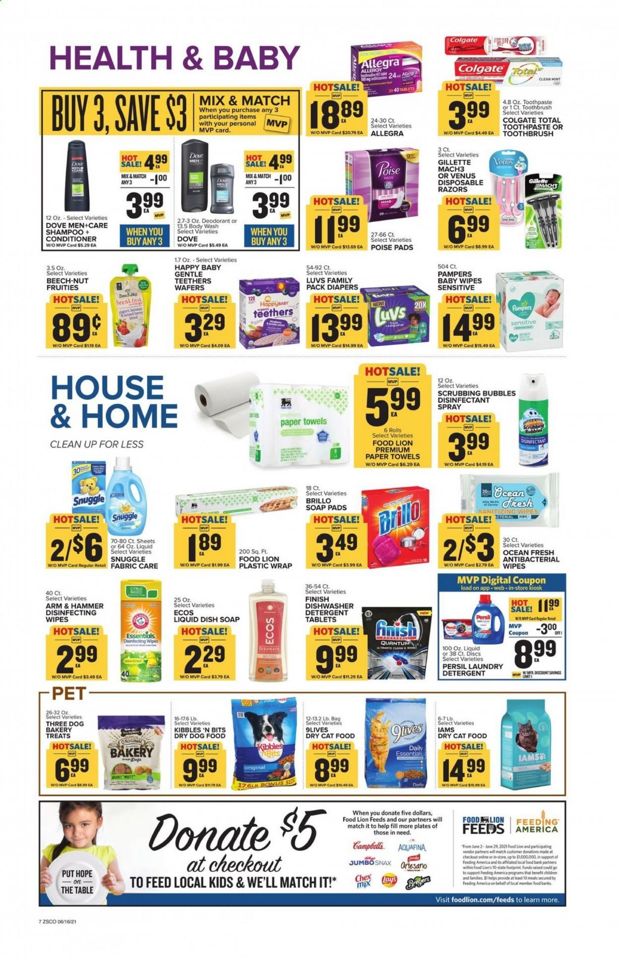 Food Lion (SC) Weekly Ad Flyer June 16 to June 22