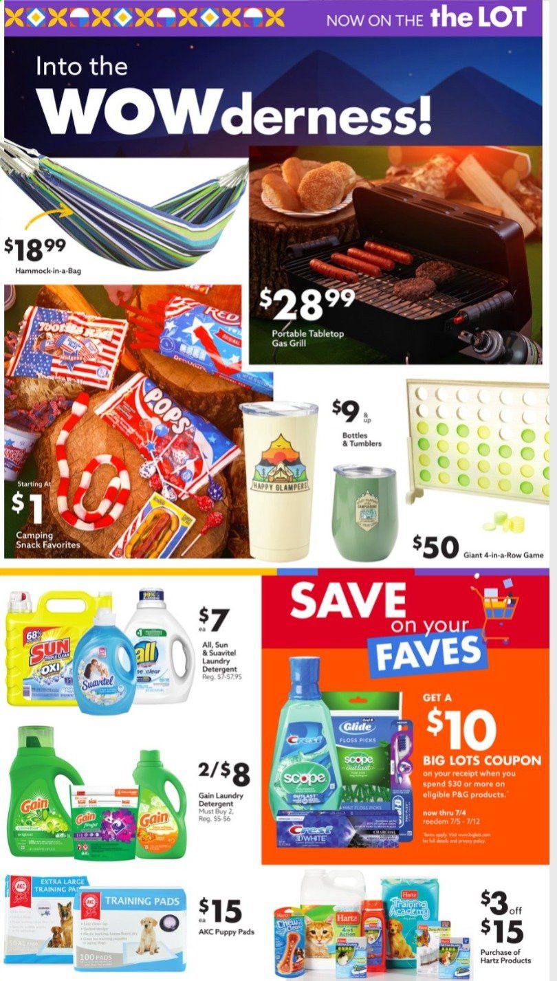 Big Lots Weekly Ad Flyer June 20 to July 5