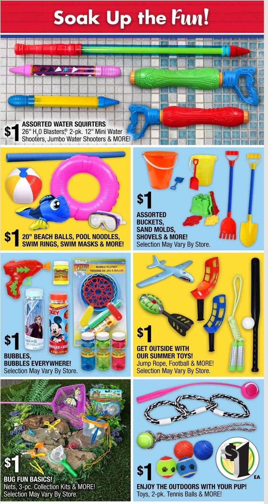 Dollar Tree Weekly Ad Flyer June 21 to July 4