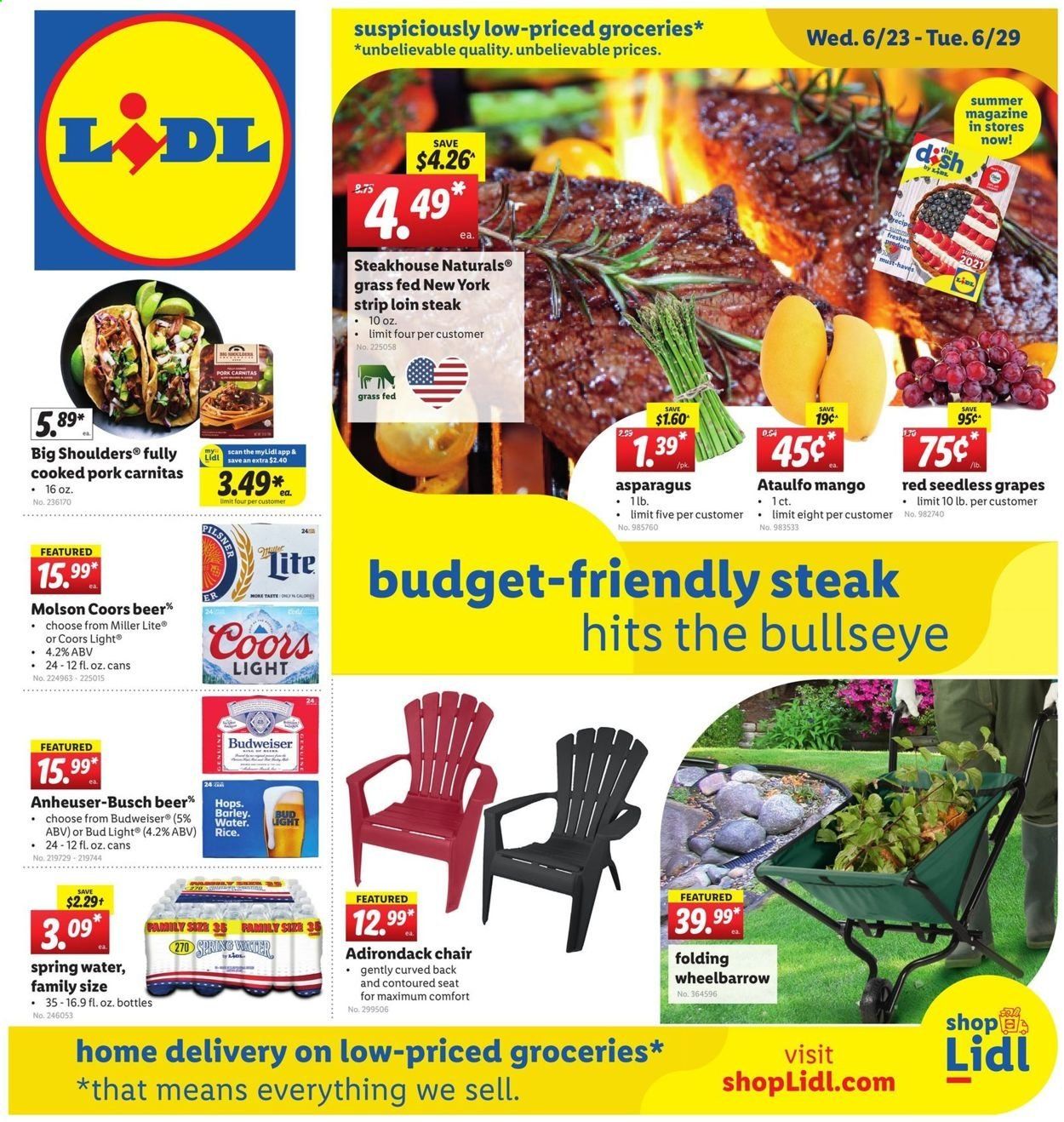Lidl (GA, MD, NC, NJ, PA, SC, VA) Weekly Ad Flyer June 23 to June 29