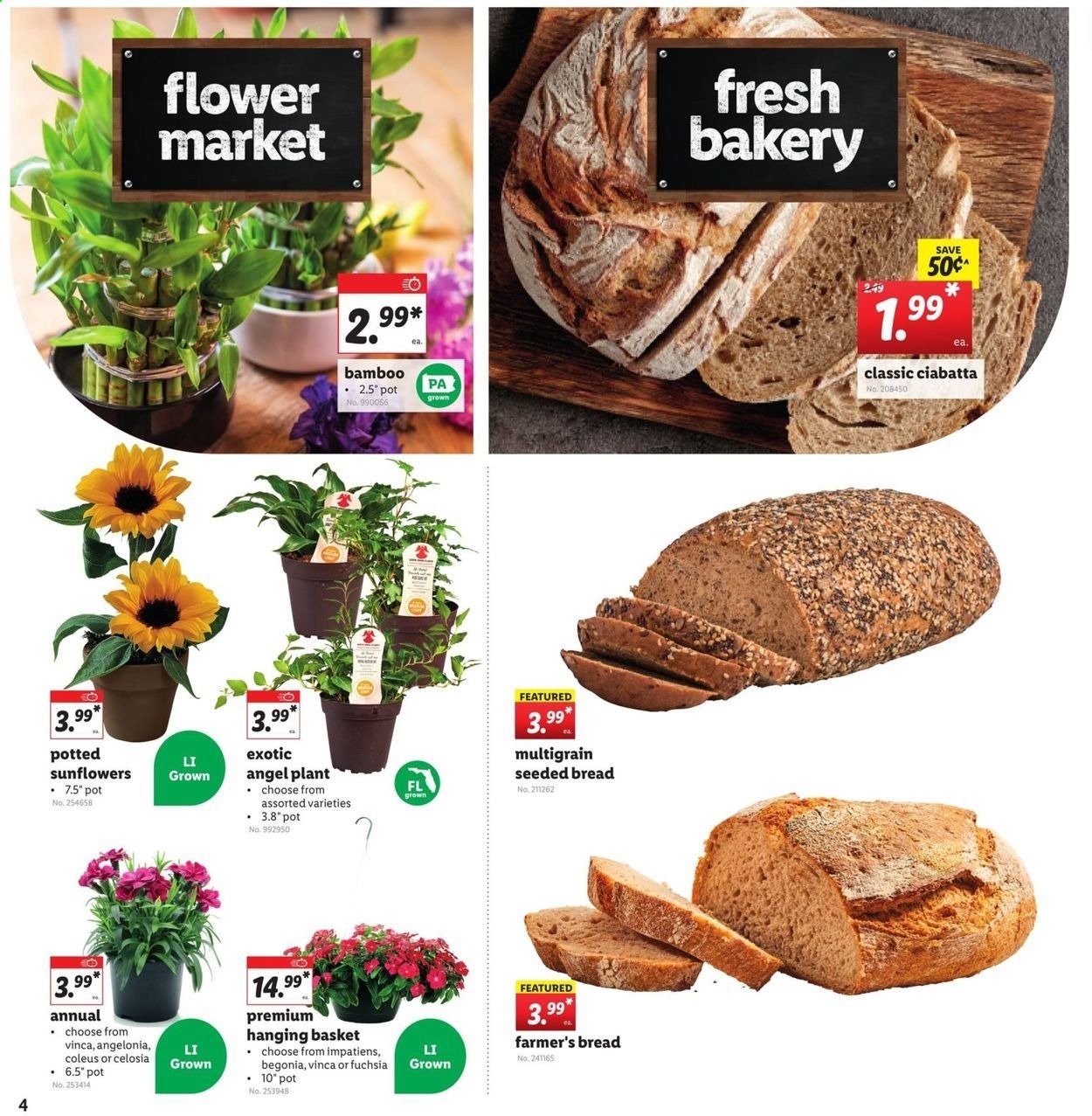 Lidl (GA, MD, NC, NJ, PA, SC, VA) Weekly Ad Flyer June 23 to June 29