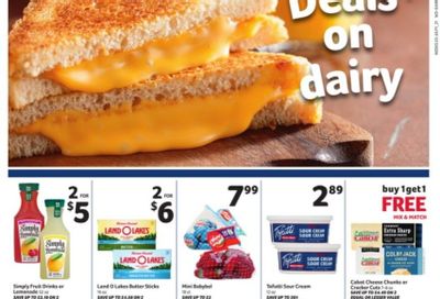 Winn Dixie (AL, FL, GA, LA) Weekly Ad Flyer June 16 to June 29