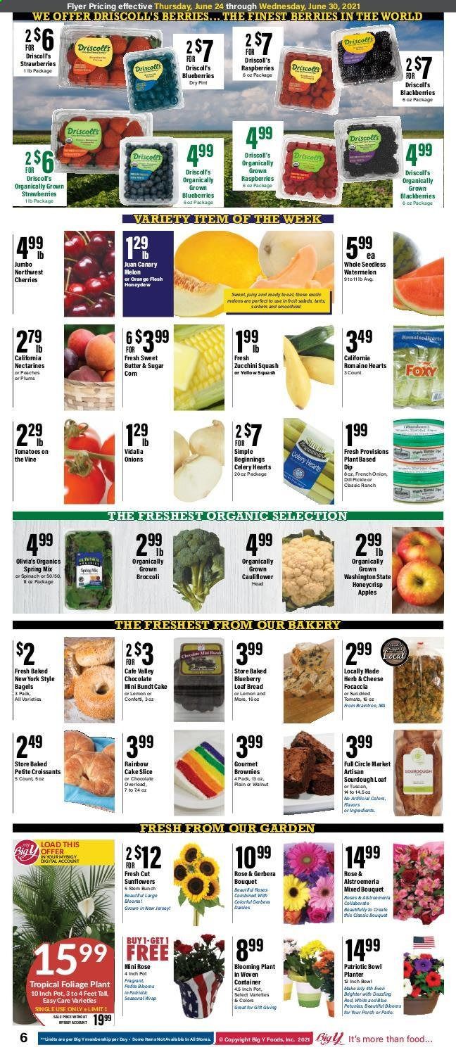 Big Y (CT) Weekly Ad Flyer June 24 to June 30