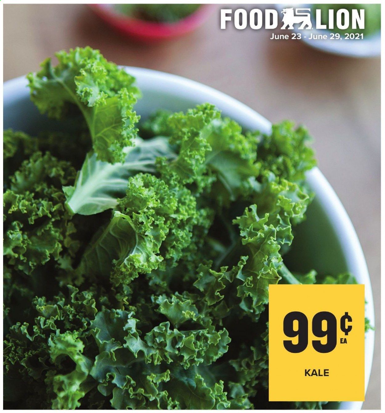 Food Lion (MD) Weekly Ad Flyer June 23 to June 29