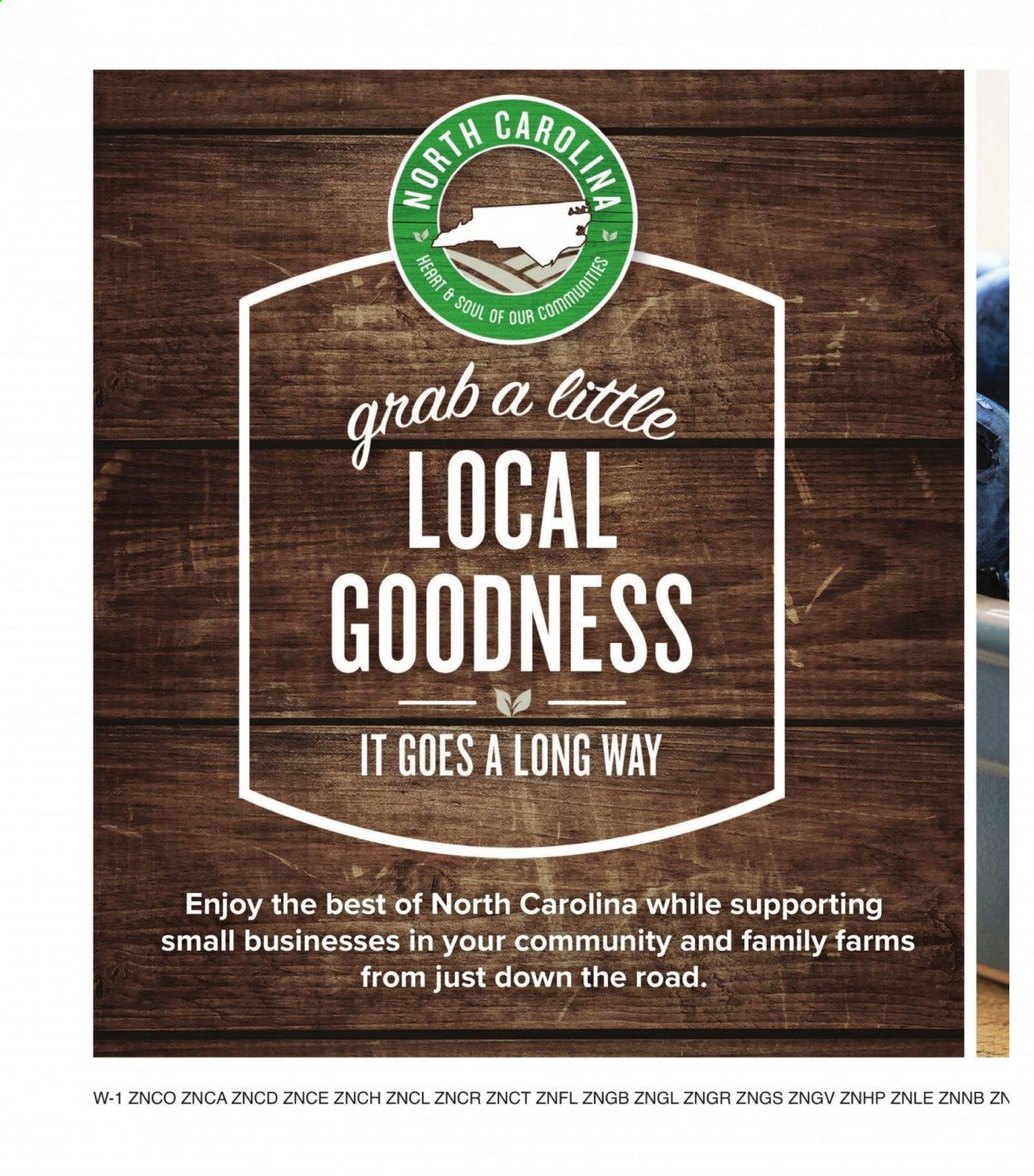 Food Lion (NC) Weekly Ad Flyer June 23 to June 29