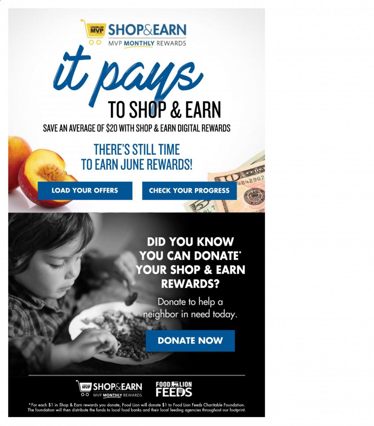 Food Lion (NC) Weekly Ad Flyer June 23 to June 29