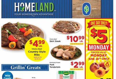 Homeland (OK, TX) Weekly Ad Flyer June 23 to June 29