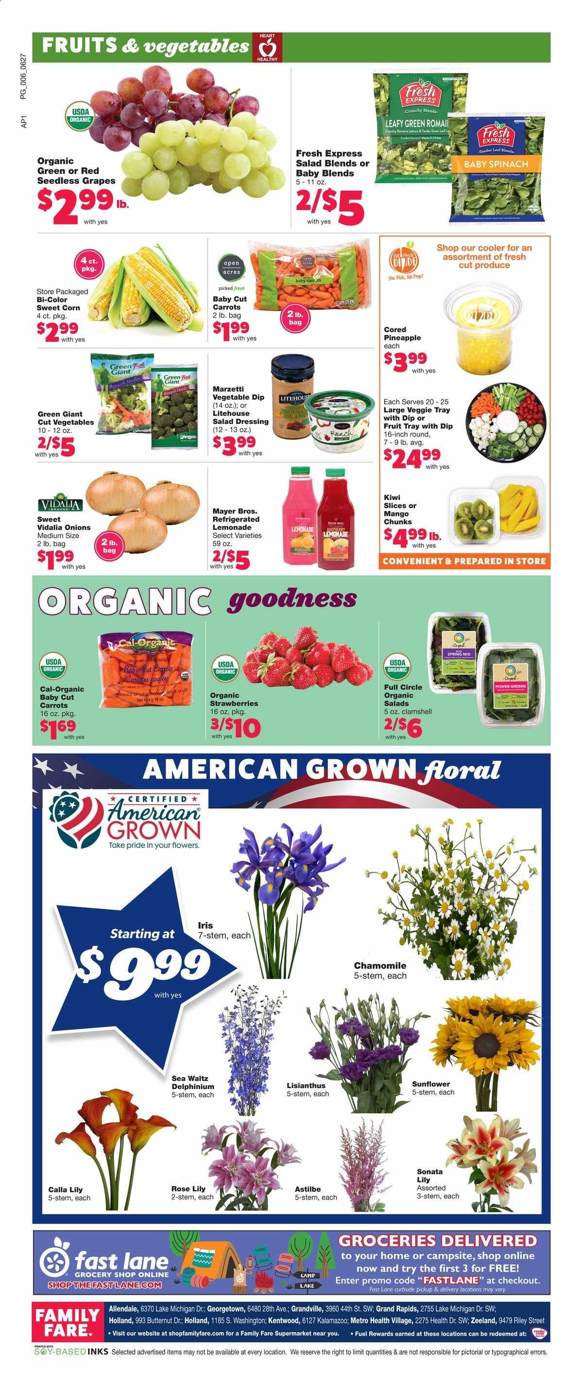 Family Fare (MI) Weekly Ad Flyer June 27 to July 4