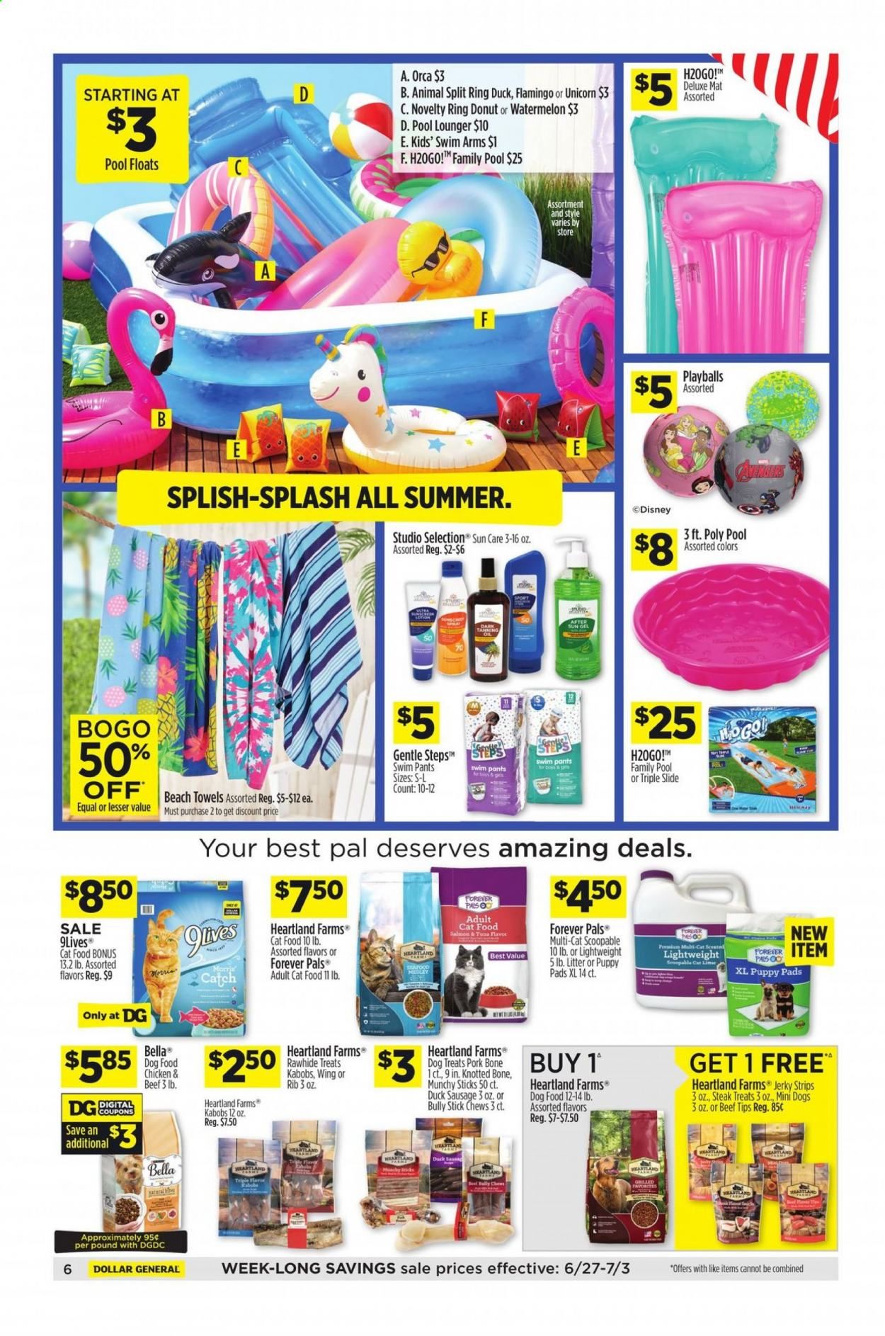 Dollar General (GA, IA, LA, MA, NY, VA, WI) Weekly Ad Flyer June 27 to July 3
