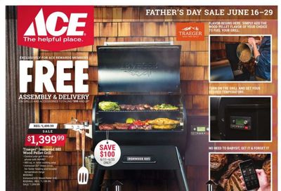 ACE Hardware Weekly Ad Flyer June 16 to June 29