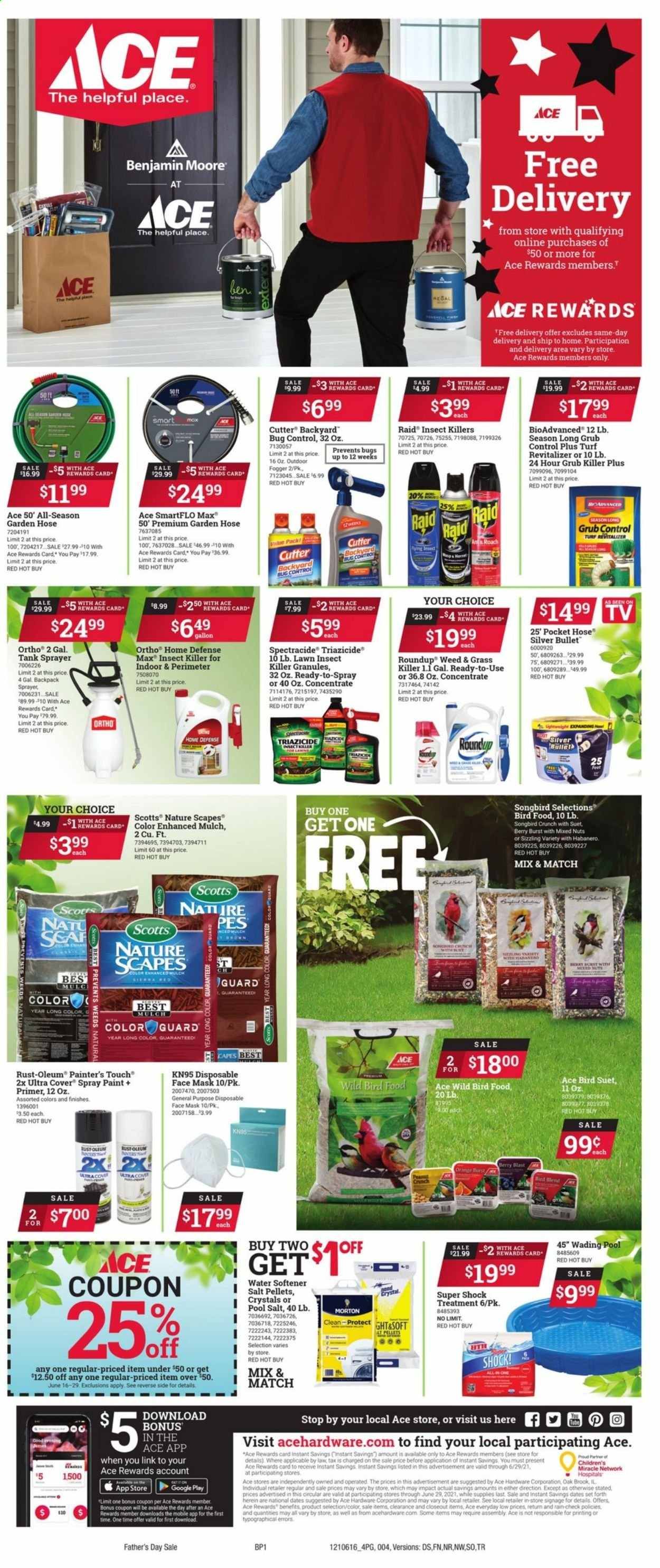 ACE Hardware Weekly Ad Flyer June 16 to June 29