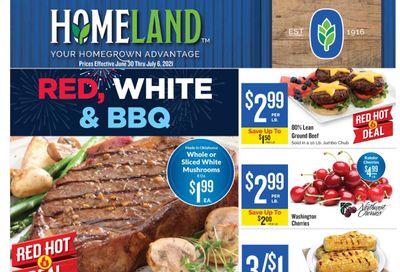Homeland (OK, TX) Weekly Ad Flyer June 30 to July 6