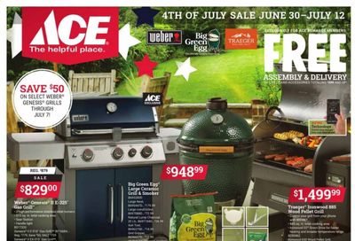 ACE Hardware Weekly Ad Flyer June 30 to July 12