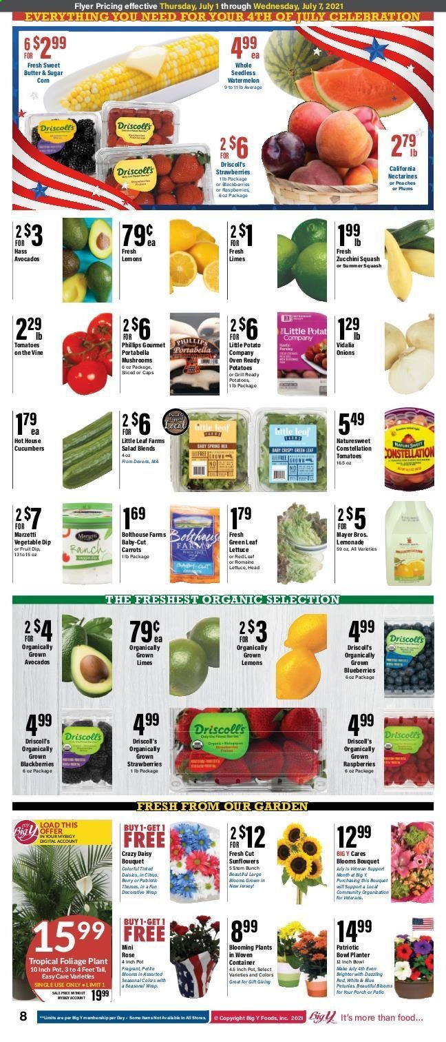 Big Y (CT) Weekly Ad Flyer July 1 to July 7