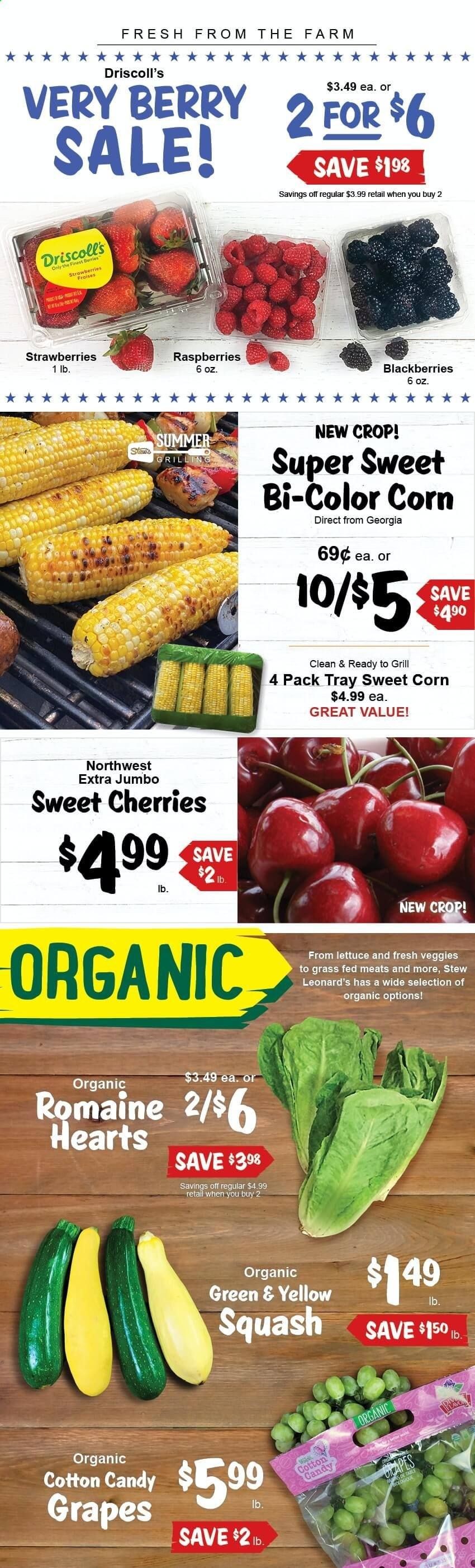 Stew Leonard's (CT, NJ, NY) Weekly Ad Flyer June 30 to July 6