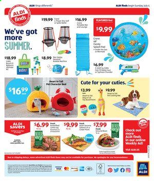 ALDI (OH, PA) Weekly Ad Flyer July 4 to July 10