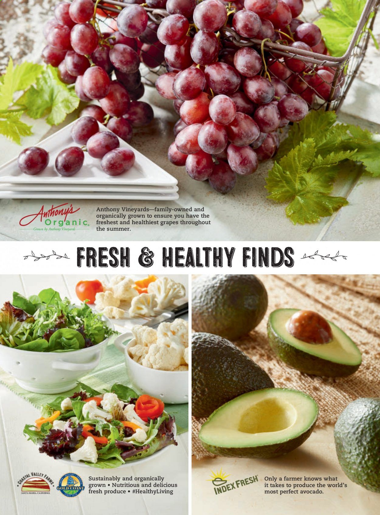 Costco Weekly Ad Flyer July 1 to July 31