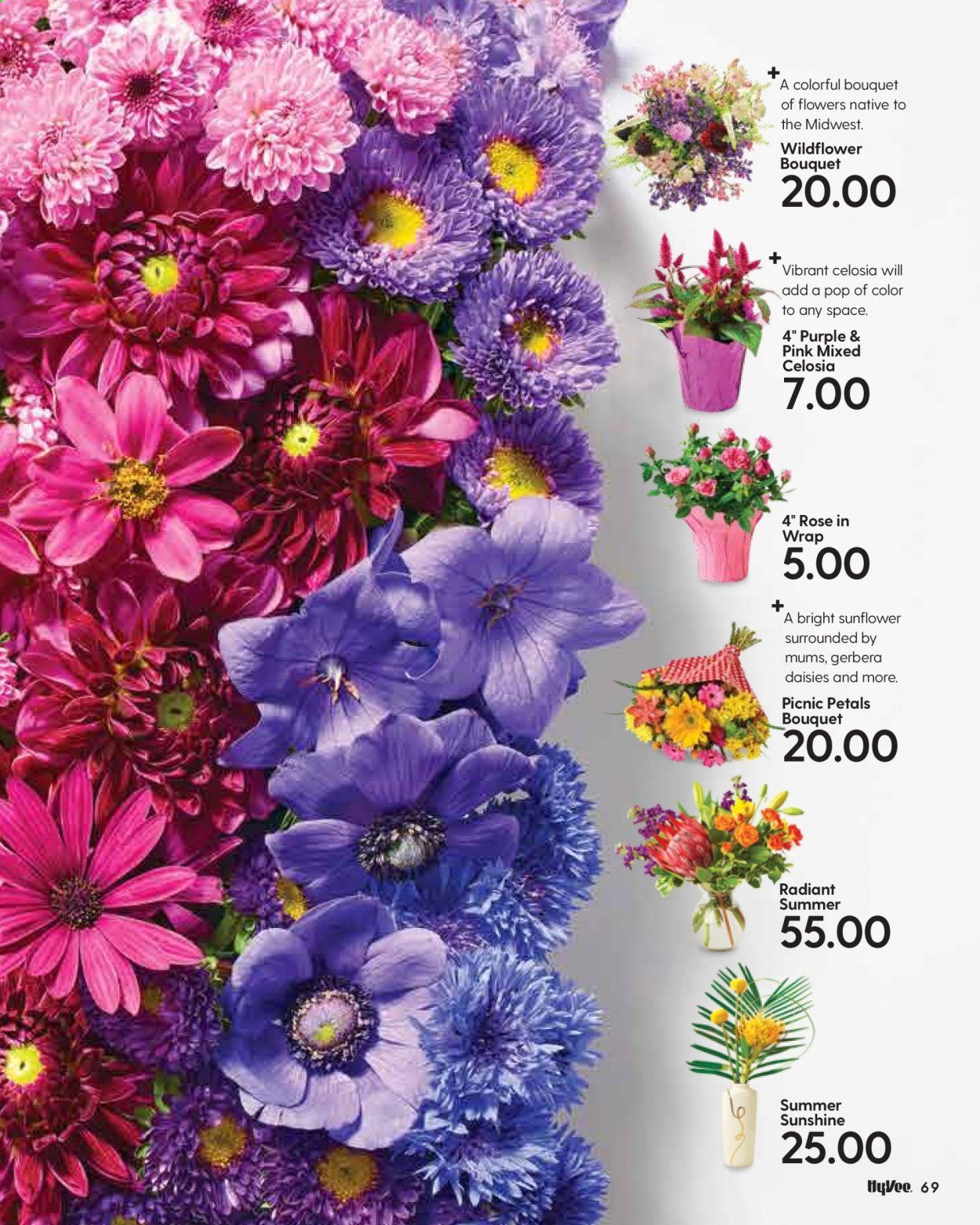 Hy-Vee (IA, IL, MN, MO, SD) Weekly Ad Flyer July 1 to July 31