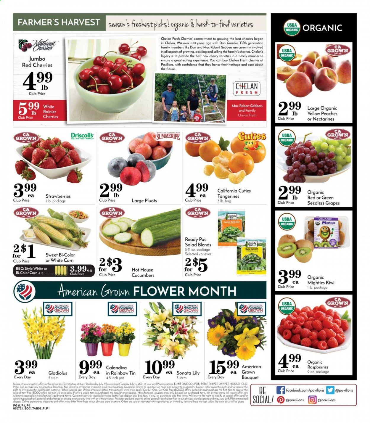 Pavilions (CA) Weekly Ad Flyer July 7 to July 13