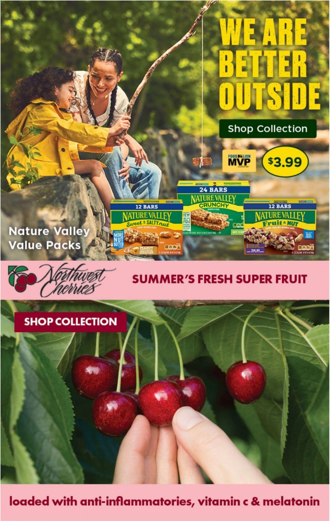 Food Lion (NC) Weekly Ad Flyer July 7 to July 13