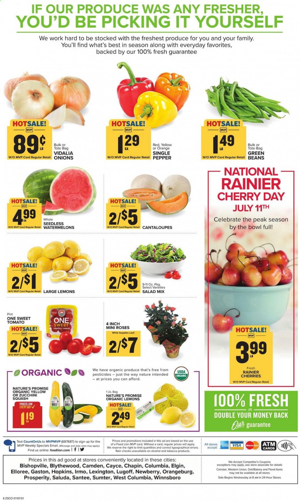 Food Lion (SC) Weekly Ad Flyer July 7 to July 13