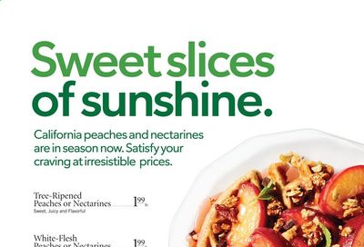 Publix (AL, FL, GA, NC, SC, TN) Weekly Ad Flyer July 8 to July 14