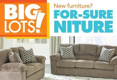 Big Lots Weekly Ad Flyer July 10 to July 17