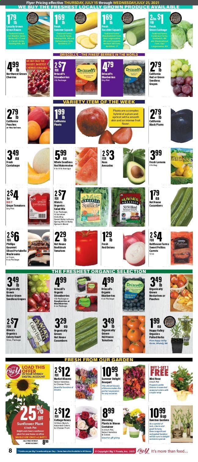 Big Y (MA) Weekly Ad Flyer July 15 to July 21