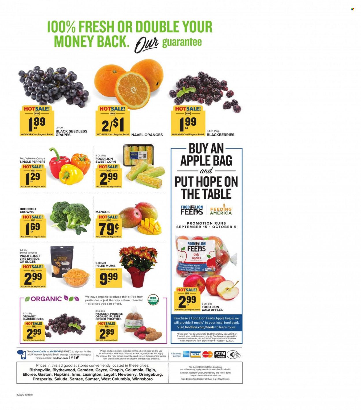 Food Lion (SC) Weekly Ad Flyer October 1 to October 8