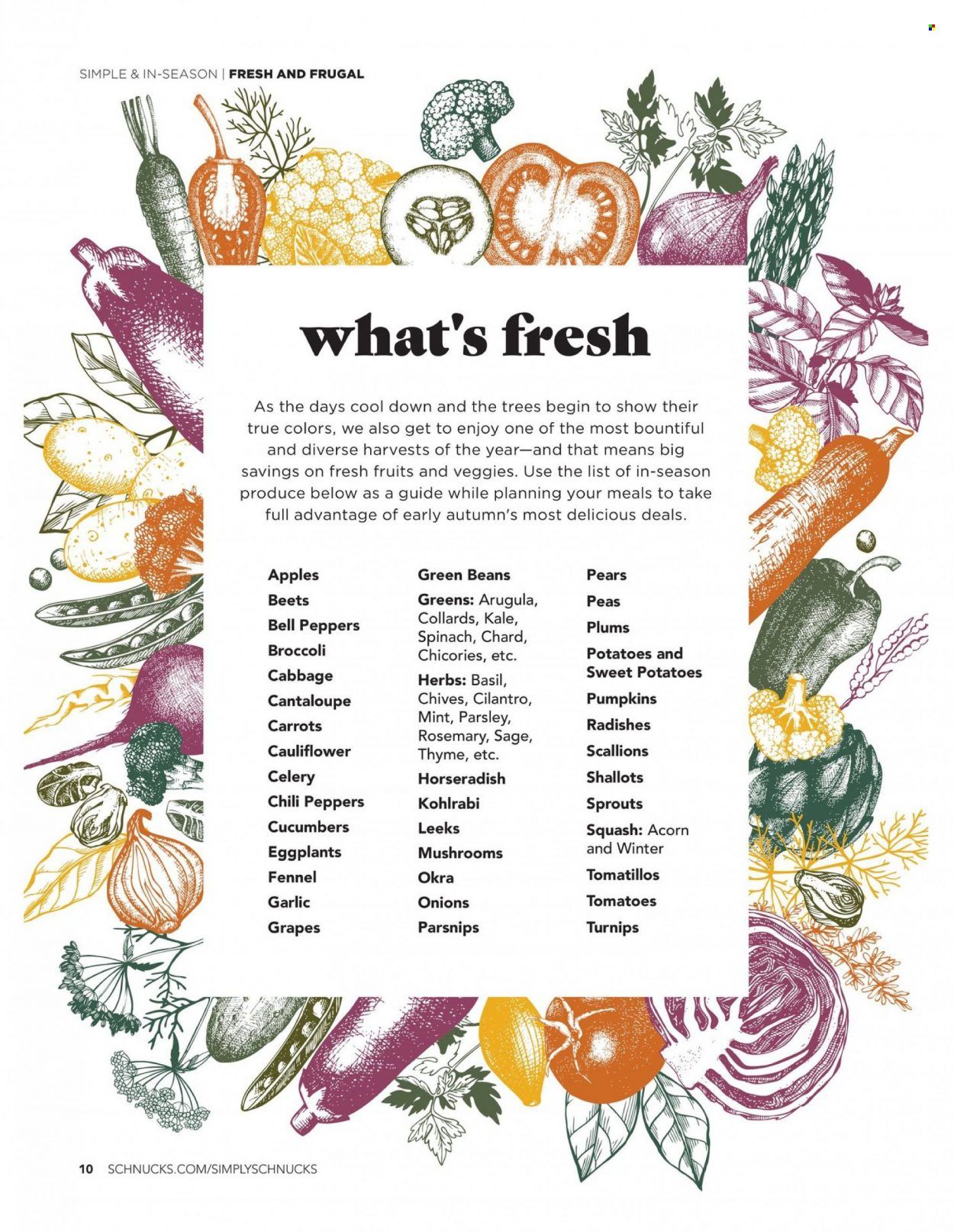 Schnucks (IA, IL, IN, MO) Weekly Ad Flyer October 3 to October 10